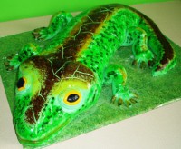 /album/fotogaleria/jasterica-jpg/